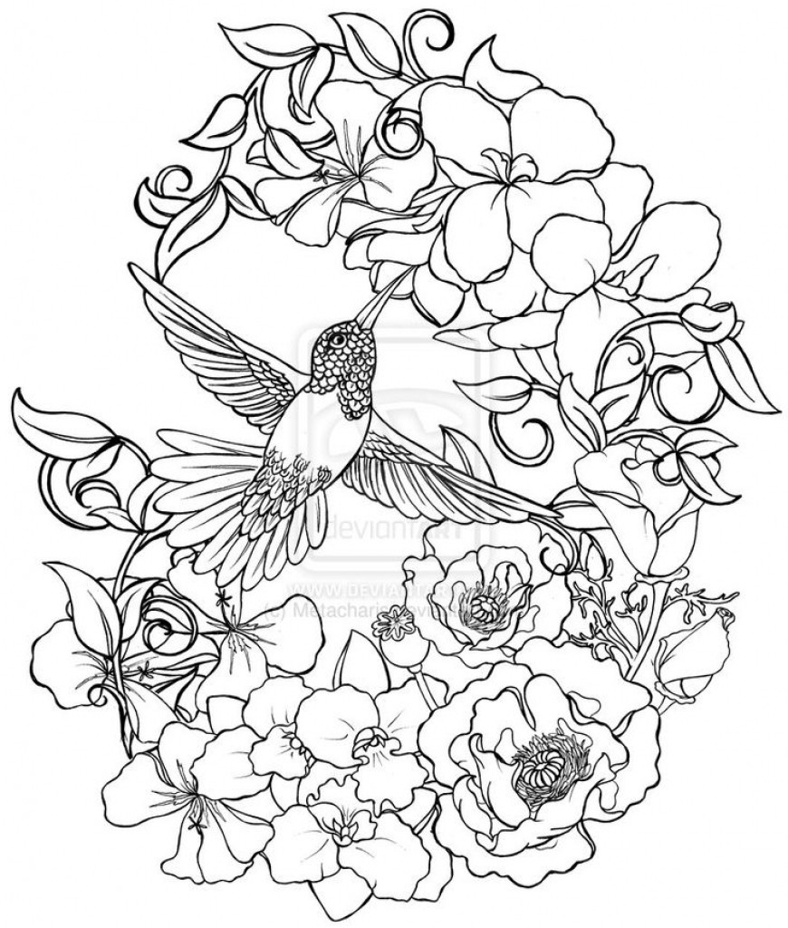 870x1024 Lovely And Detailed Hummingbird Flower Drawing Coloring Pages - Hummingbird Flower Drawing