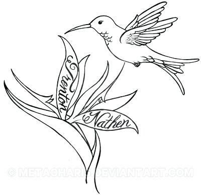 400x389 hummingbird and flower drawing rajujha - Hummingbird Flower Drawing