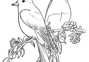 300x210 Drawing Of Birds On Flowers How To Draw A Hummingbird And Flower - Hummingbird Flower Drawing