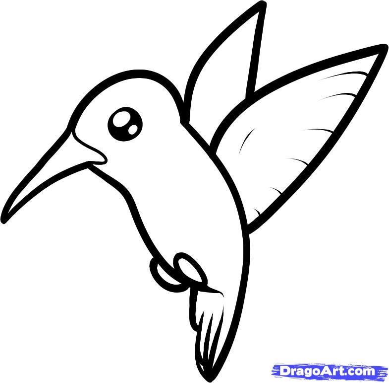 785x771 Pictures Simple Drawings Of A Hummingbird - Hummingbird Line Drawing