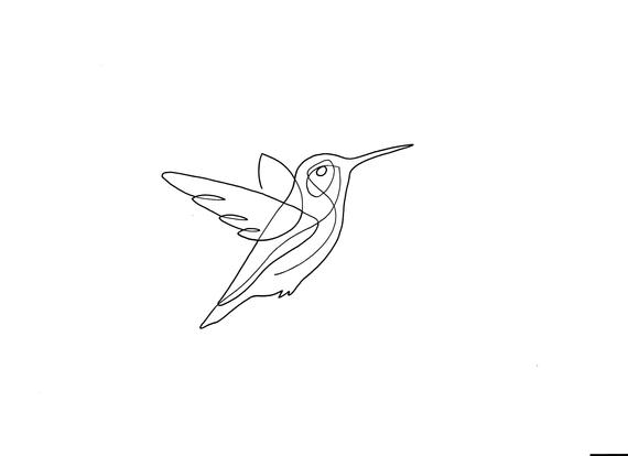 Hummingbird Line Drawing at PaintingValley.com | Explore collection of ...