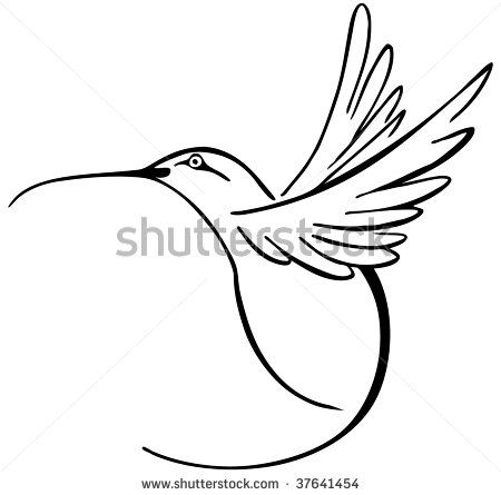 Hummingbird Line Drawing at PaintingValley.com | Explore collection of ...