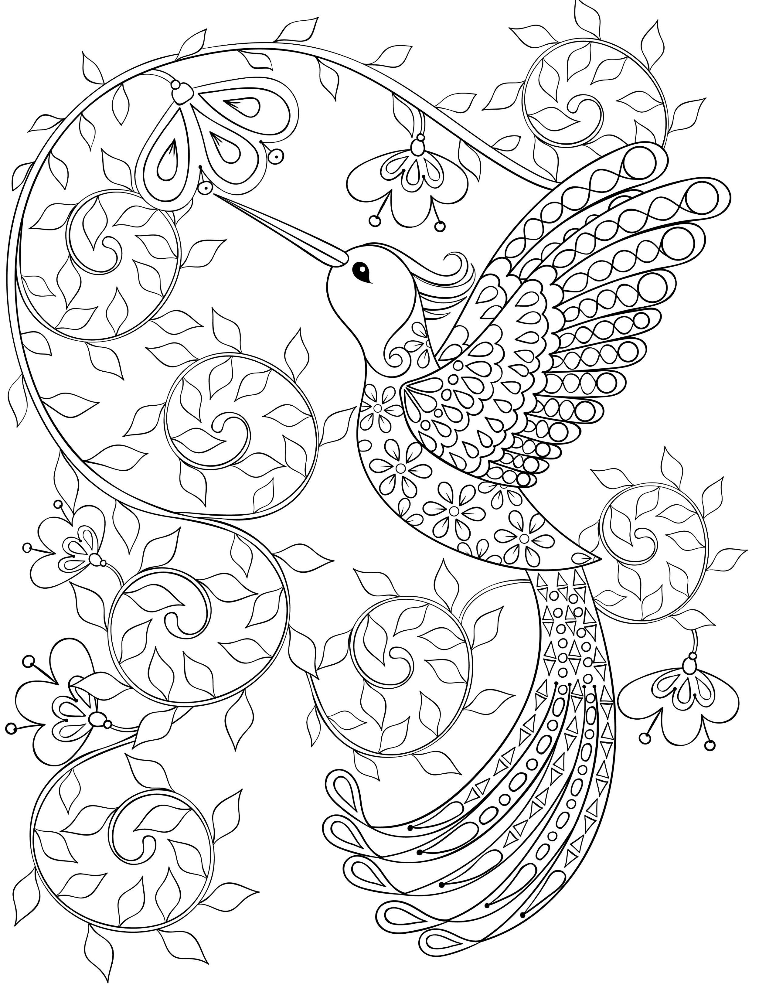 2500x3300 Great Hummingbird Coloring - Hummingbird Line Drawing