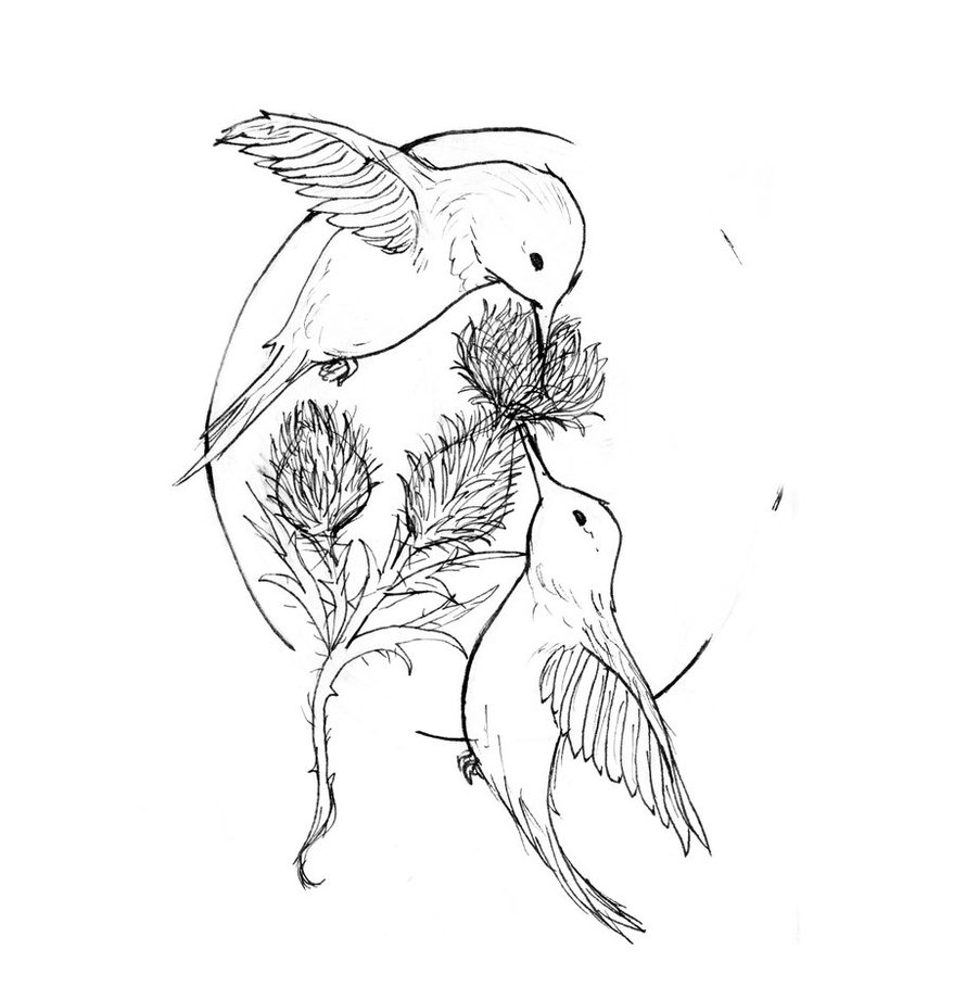 878x909 Hummingbird Tattoo Drawing - Hummingbird Tattoo Drawing