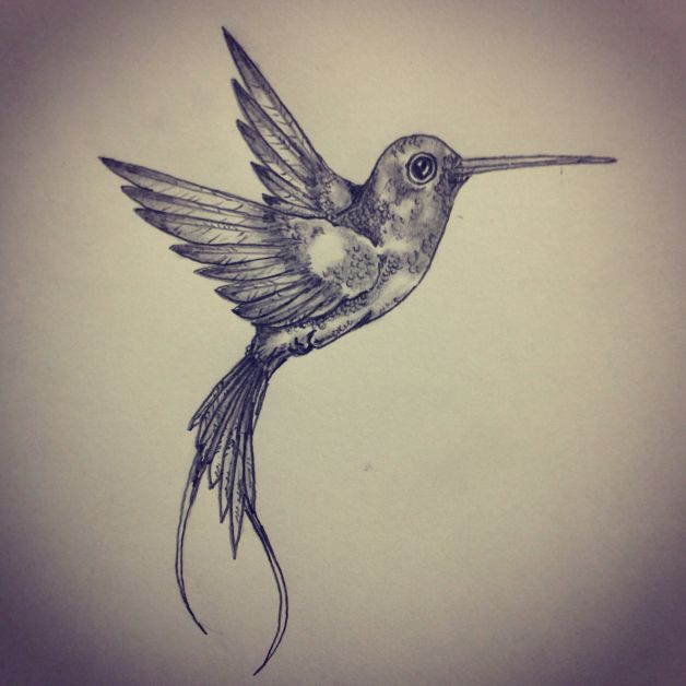 628x628 Hummingbird Tattoo Sketch - Hummingbird Tattoo Drawing