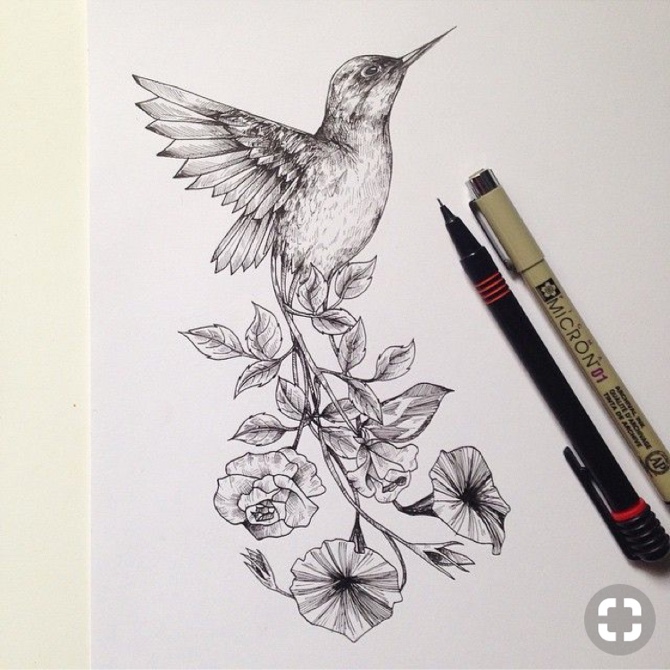 670x670 emmablagy humming bird flower tattoo sketch - Hummingbird Tattoo Drawing