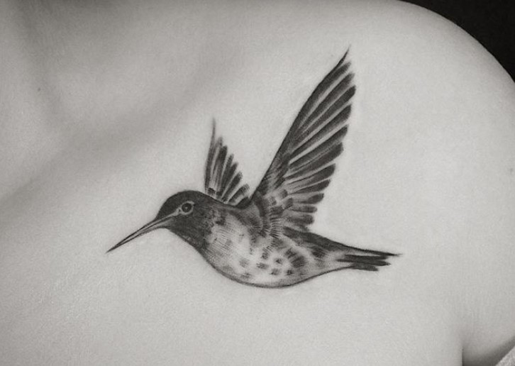 726x516 Best Hummingbird Tattoo Designs The Paws - Hummingbird Tattoo Drawing