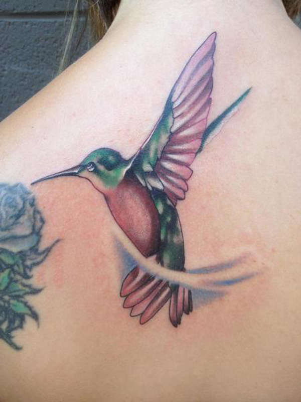 600x800 Amazing Hummingbird Tattoo Designs Art And Design - Hummingbird Tattoo Drawing