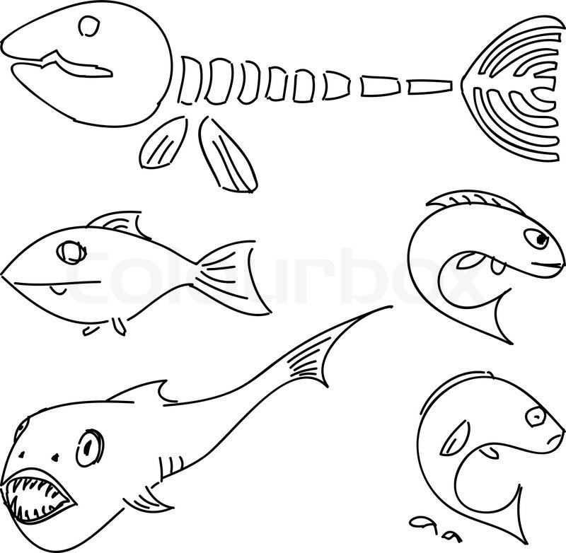 800x782 Humorous Drawing Fish Stock Vector Colourbox - Humorous Drawing