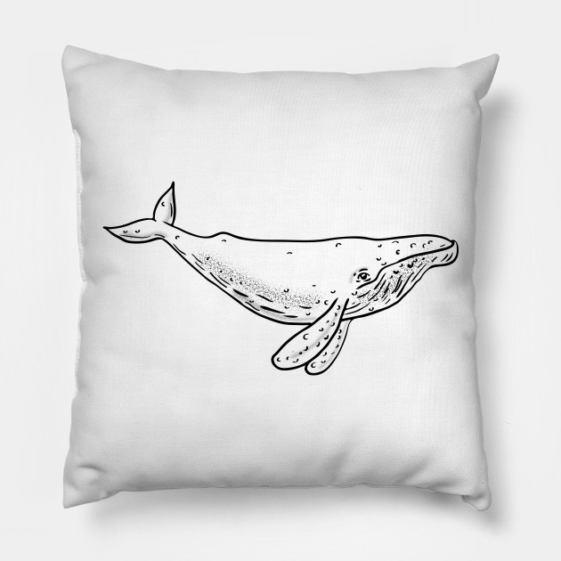 630x630 humpback whale drawing side - Humpback Whale Drawing