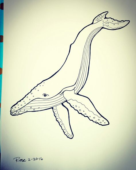 474x592 humpback whale freehand ink drawing my artwork in whale - Humpback Whale Drawing