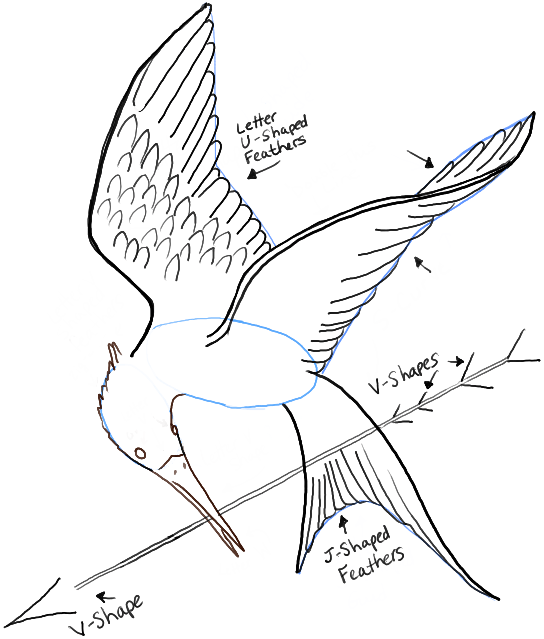 544x639 Hunger Games Art Drawing Drawing Skill - Hunger Drawing