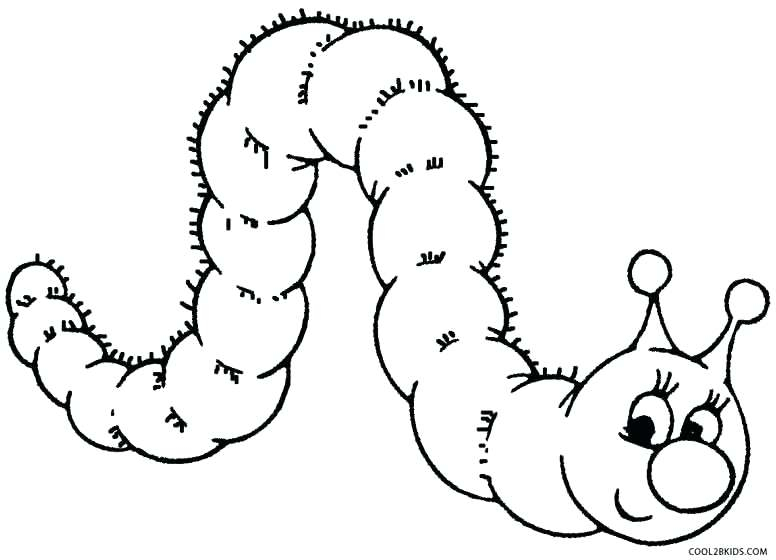 776x560 hungry caterpillar drawing - Hungry Caterpillar Drawing