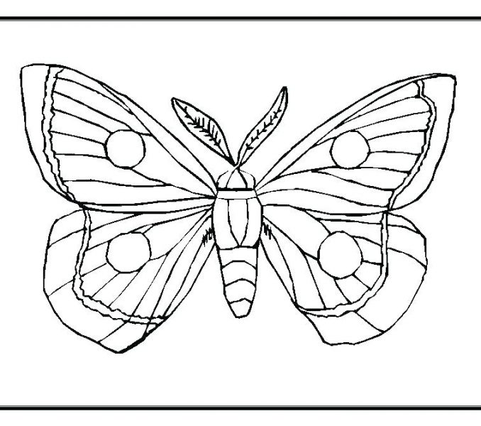 678x600 very hungry caterpillar coloring pages printables hungry - Hungry Caterpillar Drawing