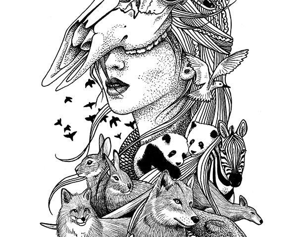 600x480 Pen Drawing Gemmi Art - Hunter Drawing