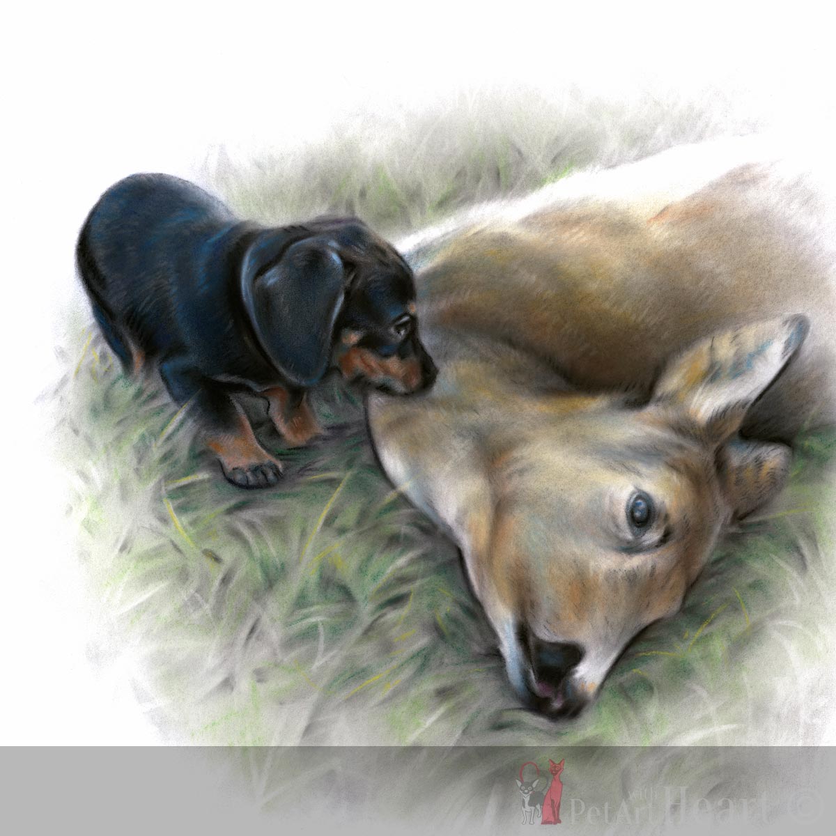 1200x1200 pastel drawing of hunting dog puppy riki - Hunting Dog Drawing