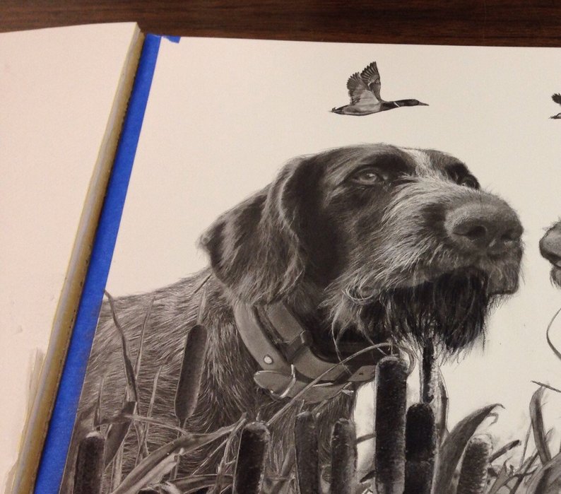 794x699 custom dog art drawing of your hunting dogs with choice of etsy - Hunting Dog Drawing