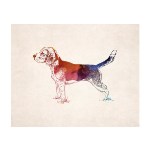 300x300 hunting dog drawing digital art - Hunting Dog Drawing