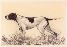 260x182 hunting dog drawing - Hunting Dog Drawing