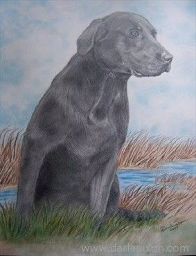 283x370 hunting dog mixed media portrait drawing - Hunting Dog Drawing