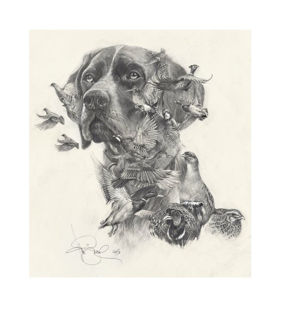 570x677 oh, my dreams german shorthaired pointer, gsp dog portrait, art - Hunting Dog Drawing