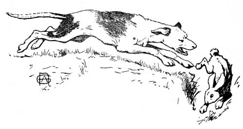 500x267 the project gutenberg ebook of hunting dogs - Hunting Dog Drawing