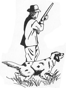 226x300 unmounted rubber st dogs, hunting, hunter dog, bird dog - Hunting Dog Drawing