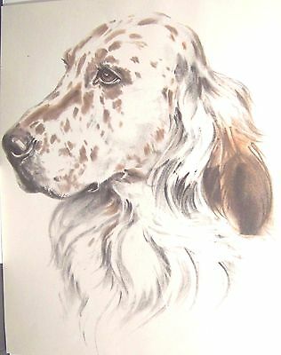 316x400 vintage lithograph printed drawing pointer hunting dog diana - Hunting Dog Drawing