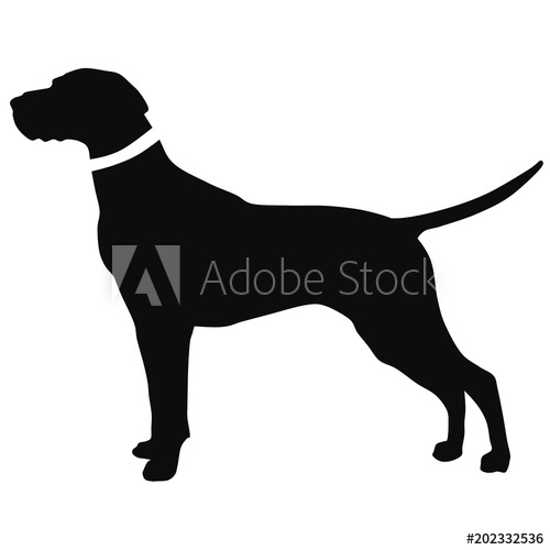 500x500 black and white drawing of a hunting dog the silhouette - Hunting Dog Drawing
