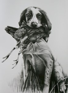 221x300 companion drawing - Hunting Dog Drawing