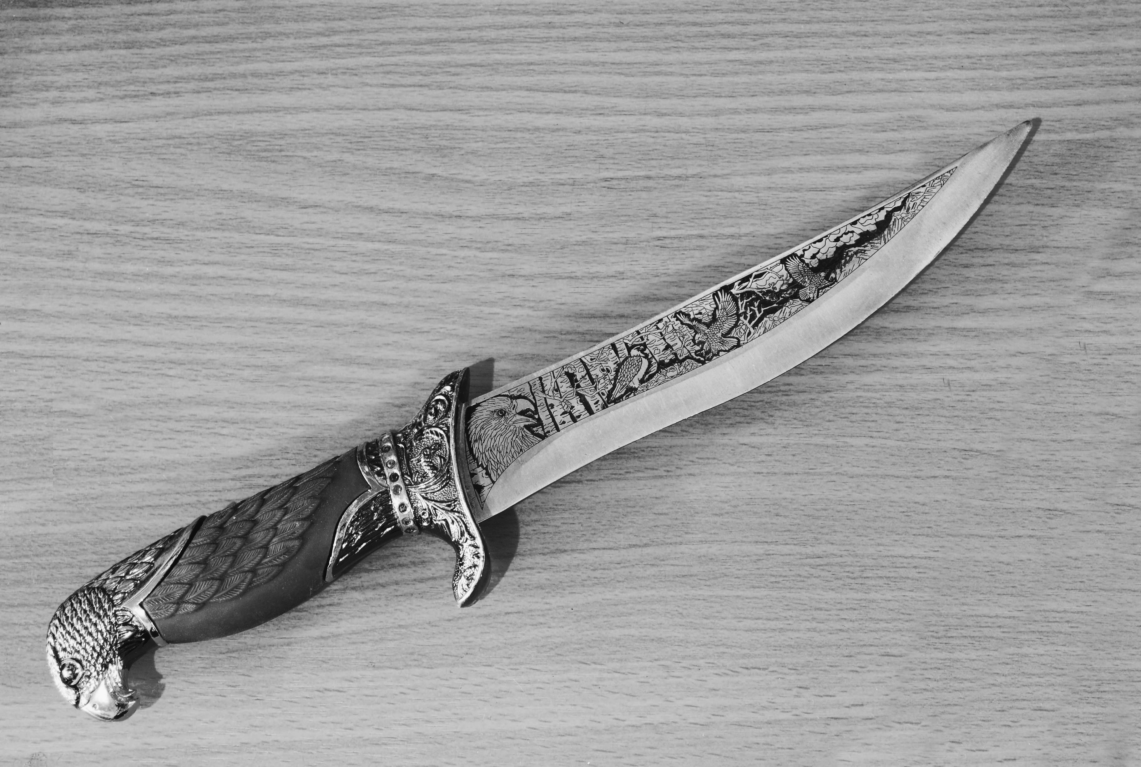 3649x2453 Free Images Wing, Black And White, Horn, Arm, Knife, Drawing - Hunting Knife Drawing