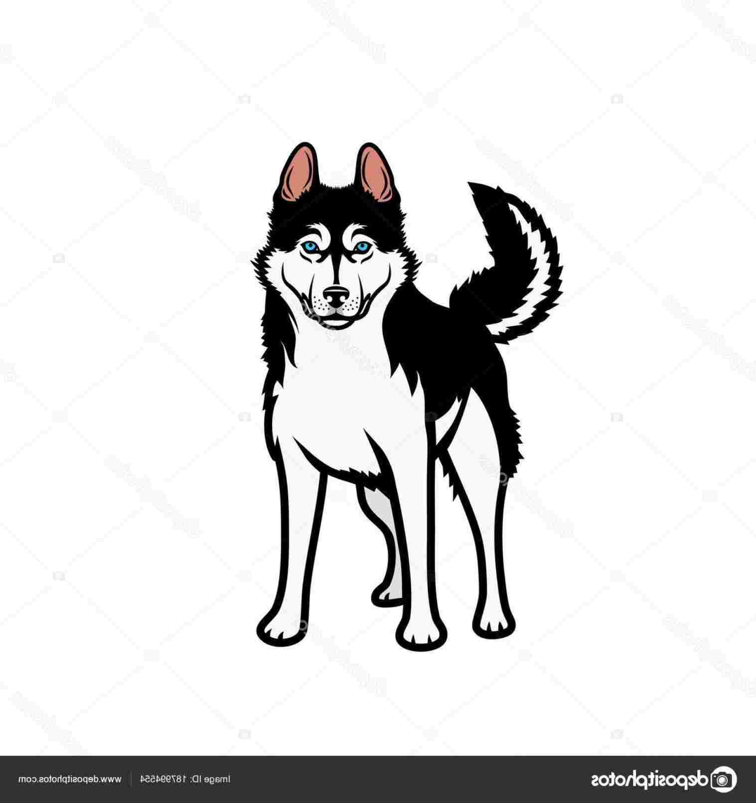 1517x1612 husky cartoon drawing to draw a cartoon dog cute husky art - Husky Cartoon Drawing