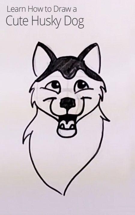 450x715 Learn How To Draw A Cute Husky Dog! Pattern And Tutorials - Husky Cartoon Drawing
