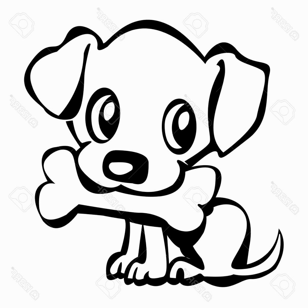 1024x1024 Puppy Cartoon Drawing Husky Cartoon Drawing At Getdrawings Free - Husky Cartoon Drawing