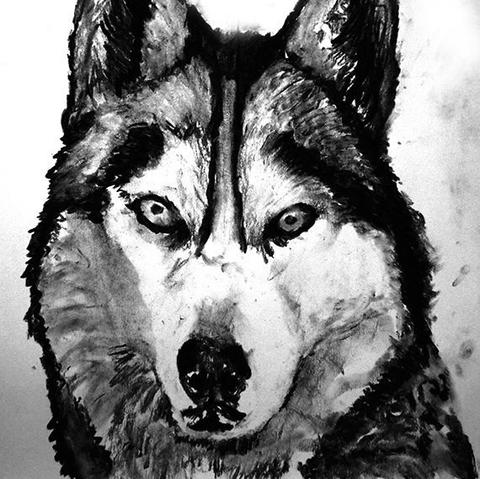 480x479 husky dog art print, black and white, husky dog,charcoal drawing - Husky Dog Drawing