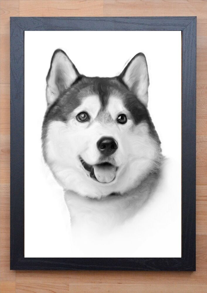 707x1000 Stunning Framed Husky Dog Drawing Print Poster Ebay - Husky Dog Drawing