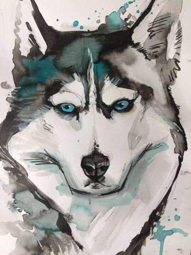 375x500 Hasky Drawing - Husky Drawing