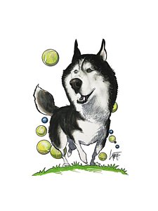 225x300 Husky Drawings Fine Art America - Husky Drawing