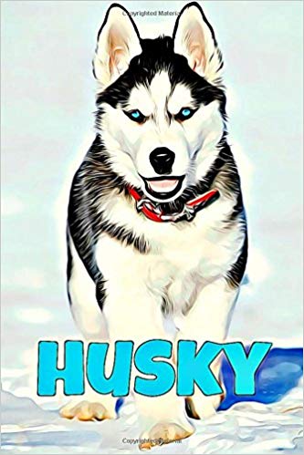 333x499 husky notebook with animals for kids, notebook for drawing - Husky Drawing