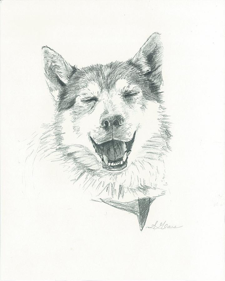 720x900 Smiling Husky Drawing - Husky Drawing