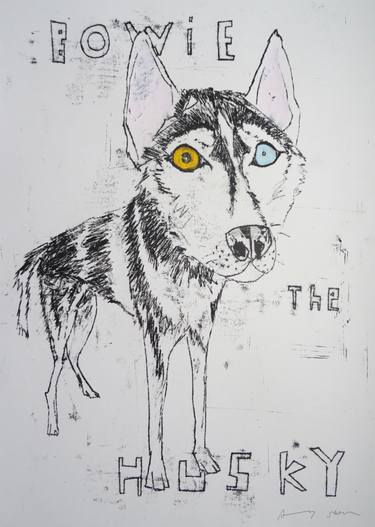 375x527 Bowie The Husky Drawing - Husky Drawing