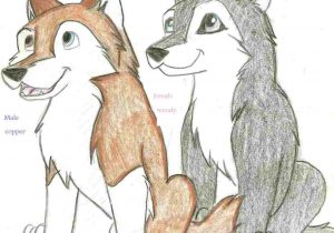 300x210 How To Draw A Easy Husky - Husky Drawing Easy