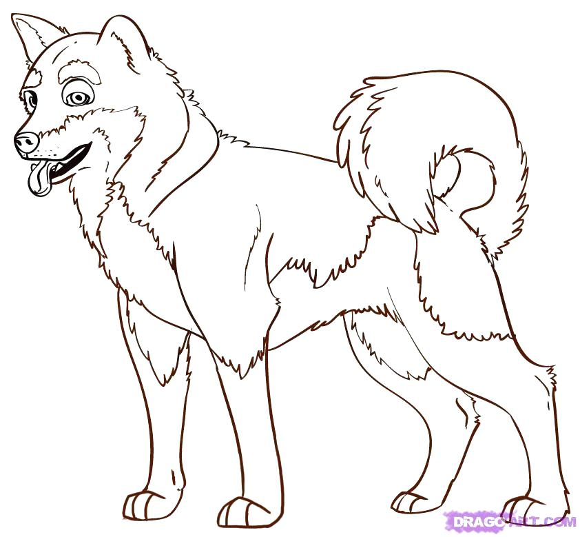 842x779 How To Draw A Husky Step - Husky Drawing Easy