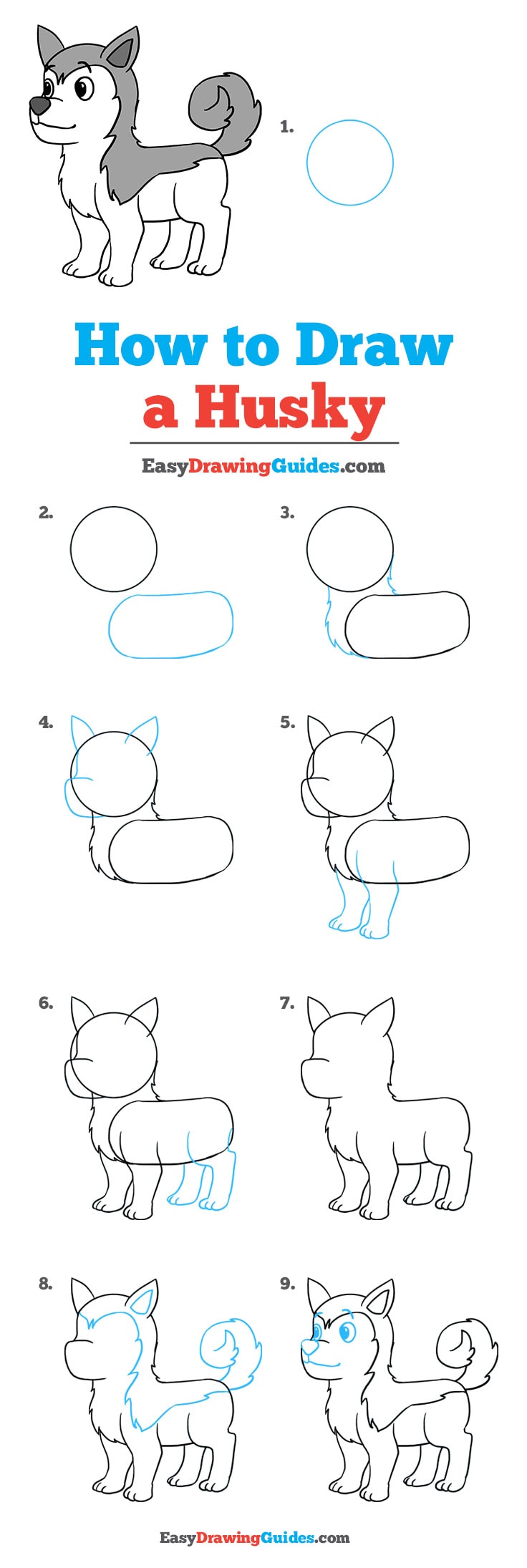 736x2190 How To Draw A Husky - Husky Drawing Easy