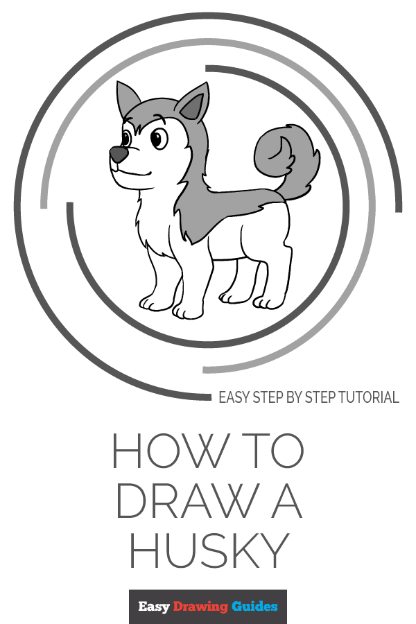 600x900 How To Draw A Husky - Husky Drawing Easy