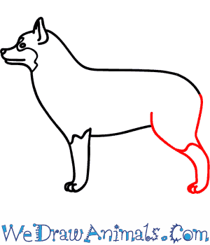 300x350 How To Draw A Husky Dog - Husky Drawing Easy