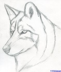 236x282 Husky Face Drawing Finding Dory Husky Drawing, Drawings, Husky - Husky Drawing Easy