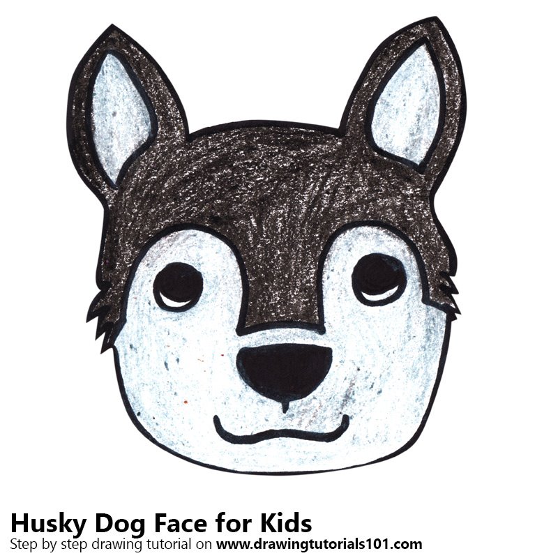 800x800 Learn How To Draw A Husky Dog Face For Kids - Husky Drawing Easy