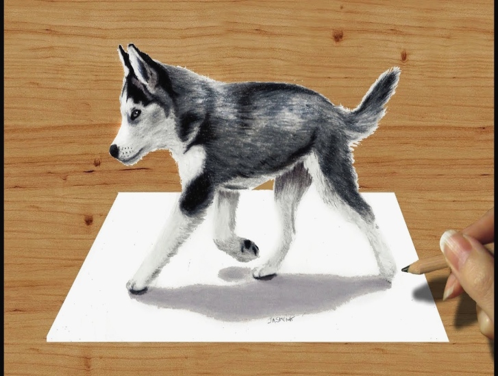 727x549 how to draw a husky how to draw siberian husky draw a husky face - Husky Face Drawing