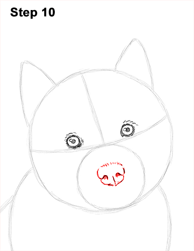 386x500 How To Draw A Puppy - Husky Face Drawing